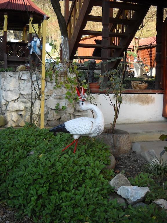 Hotel Smerekova Hata Jassinja Exterior foto